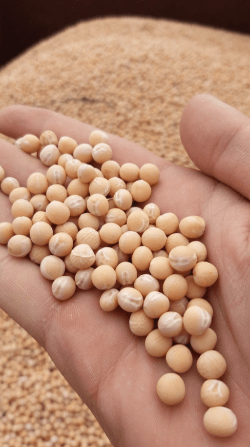 Valoriser la qualité industrielle