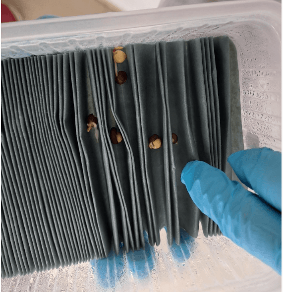 Mutualisation des ressources