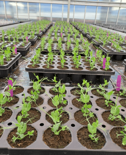 Sécuriser les rendements