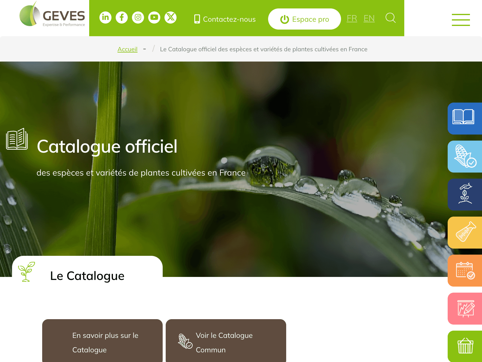 GEVES – Catalogue des variétés